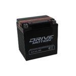 DriveMotion PowerSports Battery