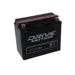 DriveMotion PowerSports Battery