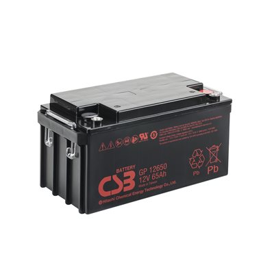 CSB SLA 12 volts 65 Ah Term. NB