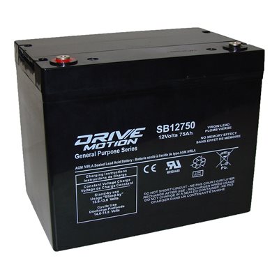 DriveMotion SLA 12 volts 75Ah Term. NB