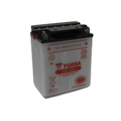 PowerSports Battery