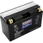 PowerSports Battery