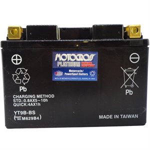 PowerSports Battery