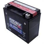 PowerSports Battery