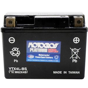 PowerSports Battery