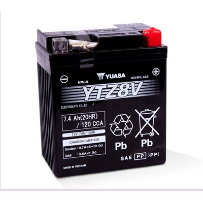 PowerSports Battery